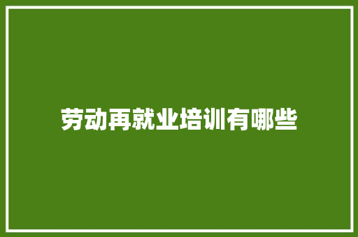 劳动再就业培训有哪些 商业文稿