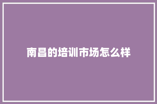 南昌的培训市场怎么样 生活感悟