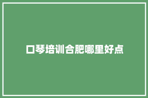 口琴培训合肥哪里好点