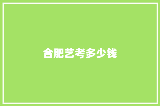 合肥艺考多少钱