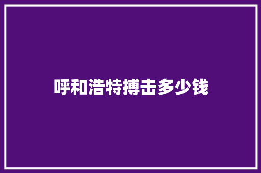 呼和浩特搏击多少钱
