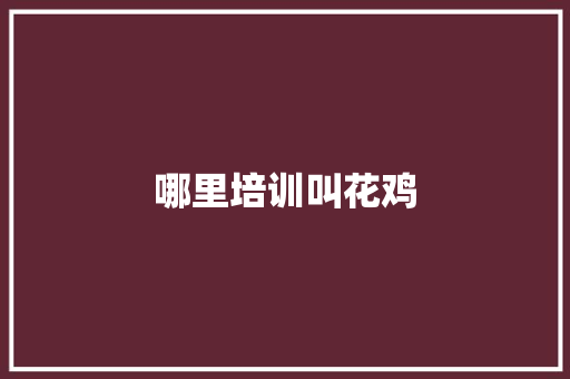 哪里培训叫花鸡
