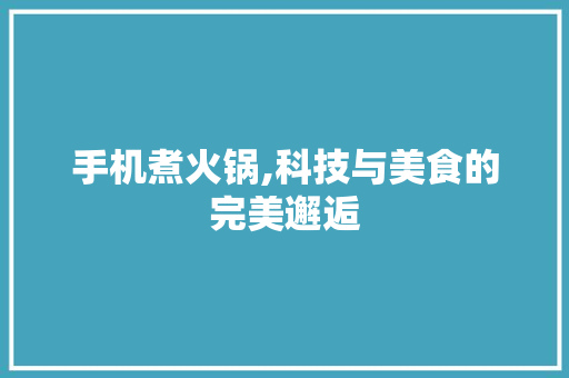 手机煮火锅,科技与美食的完美邂逅