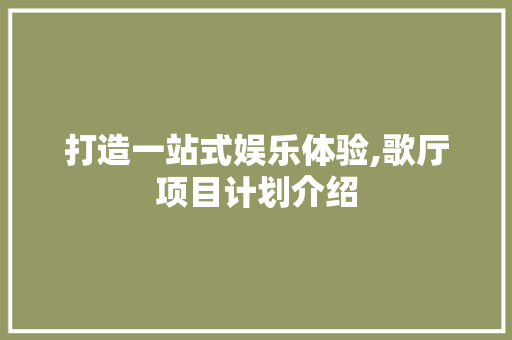 打造一站式娱乐体验,歌厅项目计划介绍