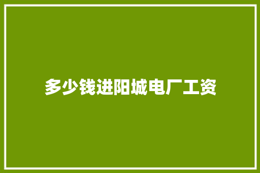 多少钱进阳城电厂工资