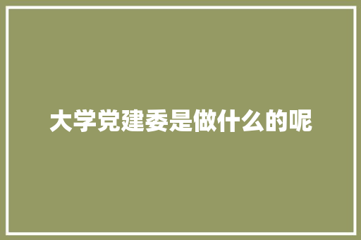 大学党建委是做什么的呢