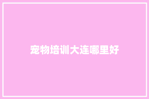 宠物培训大连哪里好