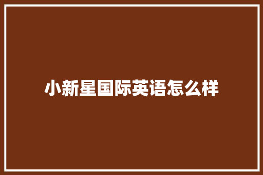 小新星国际英语怎么样