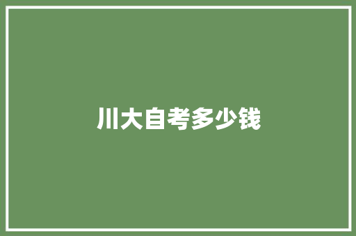 川大自考多少钱