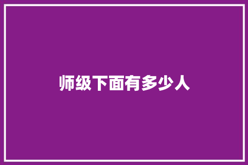 师级下面有多少人