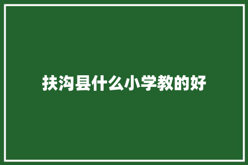 扶沟县什么小学教的好