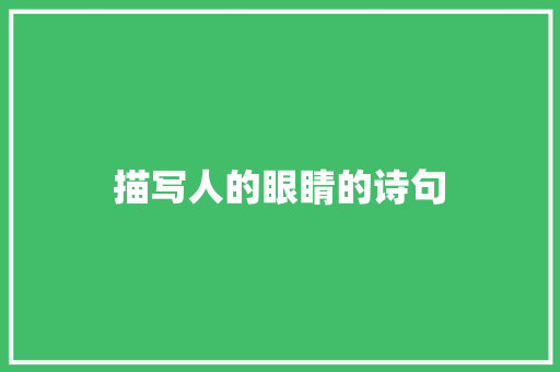 描写人的眼睛的诗句