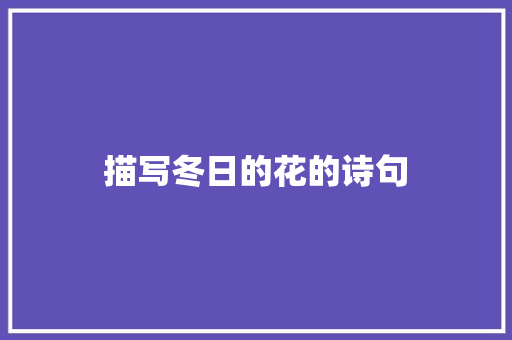 描写冬日的花的诗句
