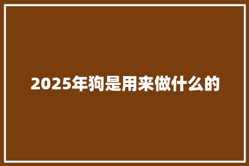 2025年狗是用来做什么的