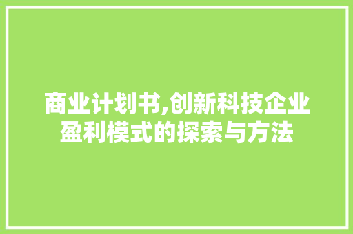 商业计划书,创新科技企业盈利模式的探索与方法