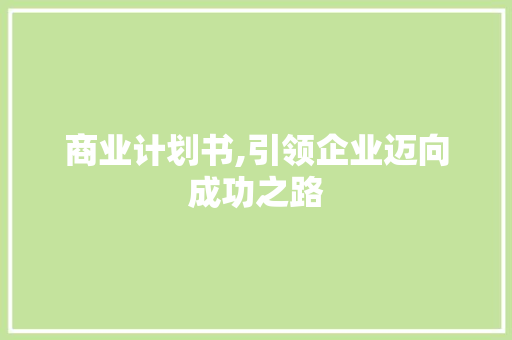 商业计划书,引领企业迈向成功之路