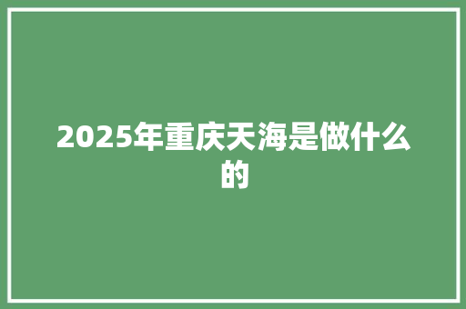 2025年重庆天海是做什么的