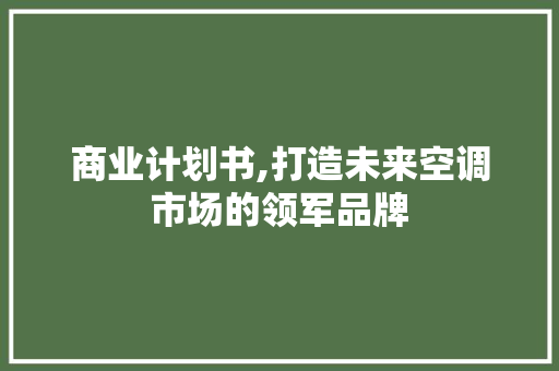 商业计划书,打造未来空调市场的领军品牌