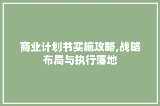 商业计划书实施攻略,战略布局与执行落地