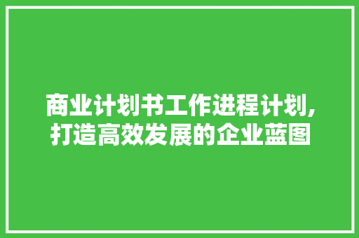 商业计划书工作进程计划,打造高效发展的企业蓝图