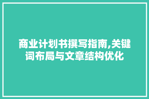 商业计划书撰写指南,关键词布局与文章结构优化