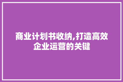 商业计划书收纳,打造高效企业运营的关键