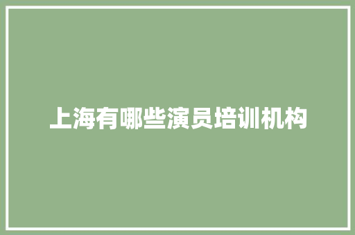 上海有哪些演员培训机构