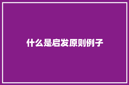什么是启发原则例子 工作报告