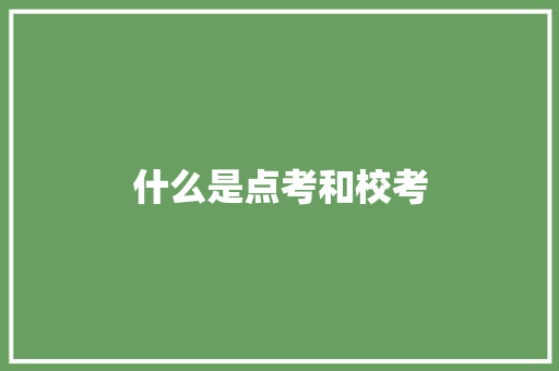什么是点考和校考