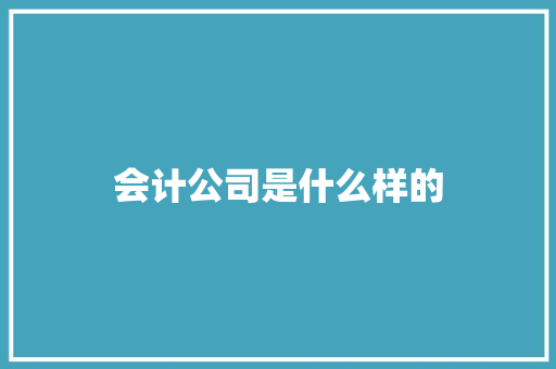 会计公司是什么样的