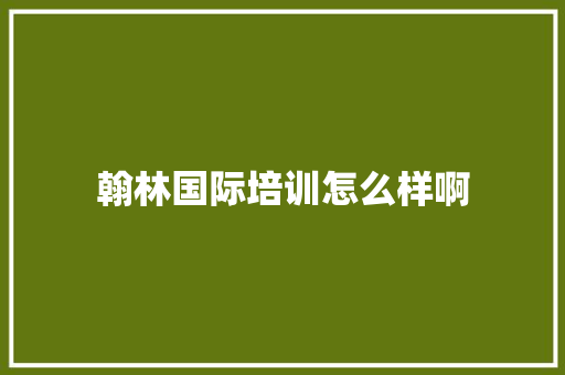 翰林国际培训怎么样啊