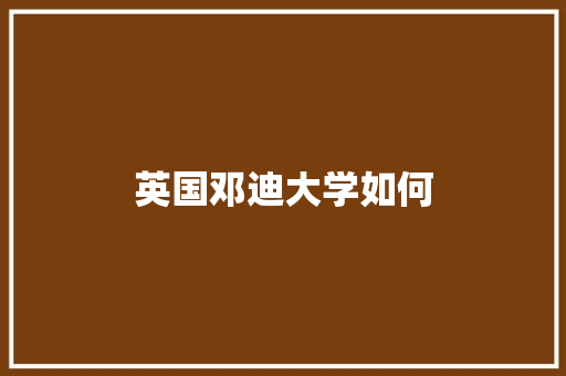 英国邓迪大学如何