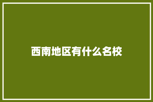 西南地区有什么名校