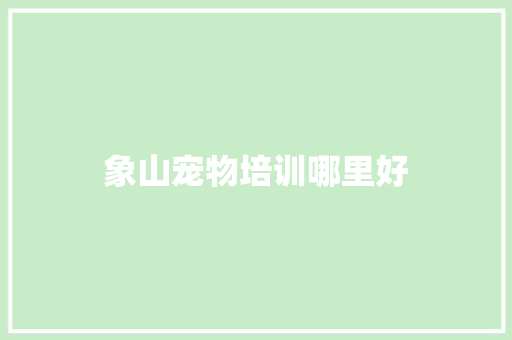 象山宠物培训哪里好