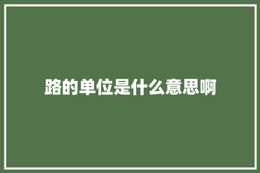路的单位是什么意思啊
