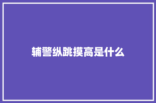 辅警纵跳摸高是什么