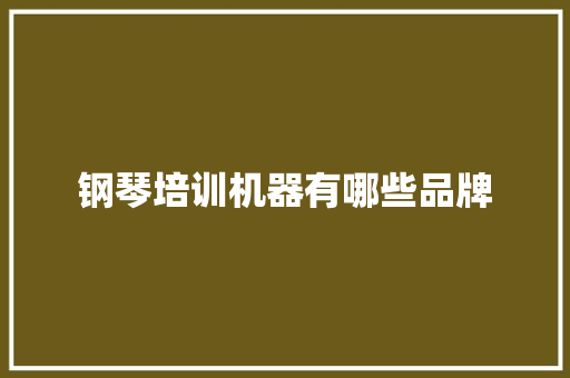 钢琴培训机器有哪些品牌