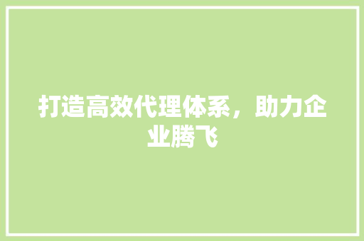 打造高效代理体系，助力企业腾飞
