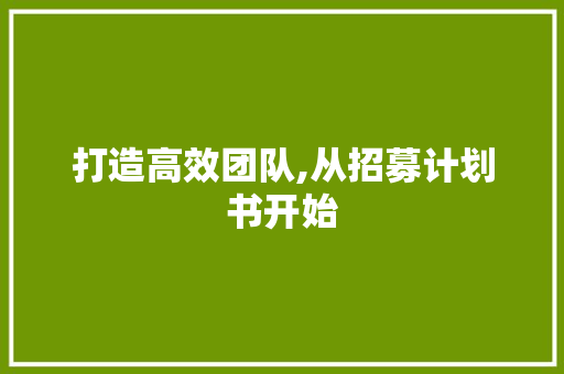打造高效团队,从招募计划书开始