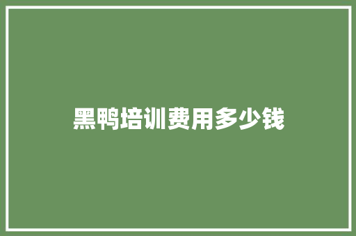 黑鸭培训费用多少钱