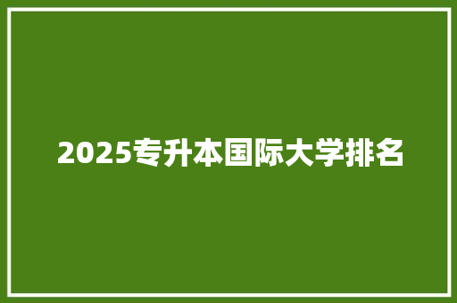 2025专升本国际大学排名