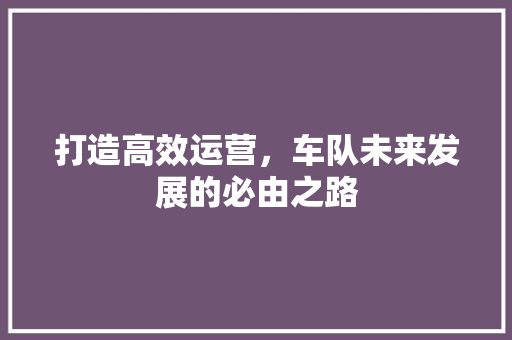 打造高效运营，车队未来发展的必由之路