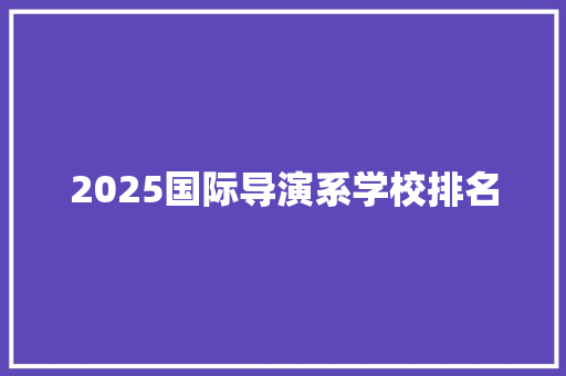 2025国际导演系学校排名