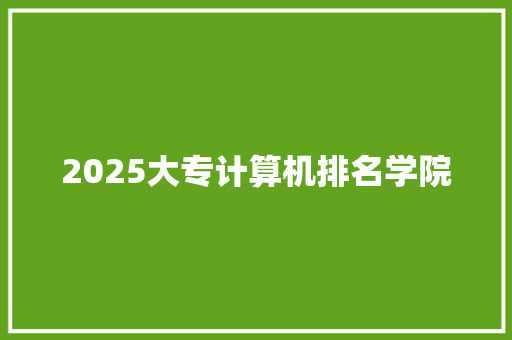 2025大专计算机排名学院 工作类