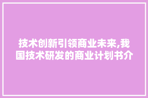 技术创新引领商业未来,我国技术研发的商业计划书介绍