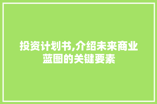 投资计划书,介绍未来商业蓝图的关键要素