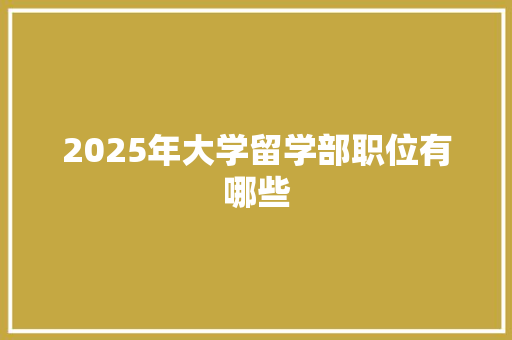2025年大学留学部职位有哪些