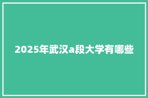 2025年武汉a段大学有哪些