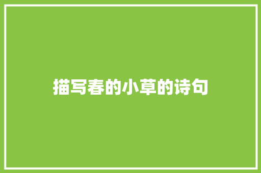 描写春的小草的诗句