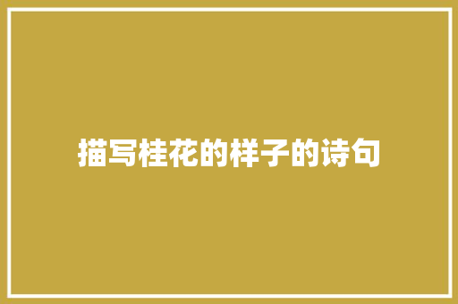 描写桂花的样子的诗句